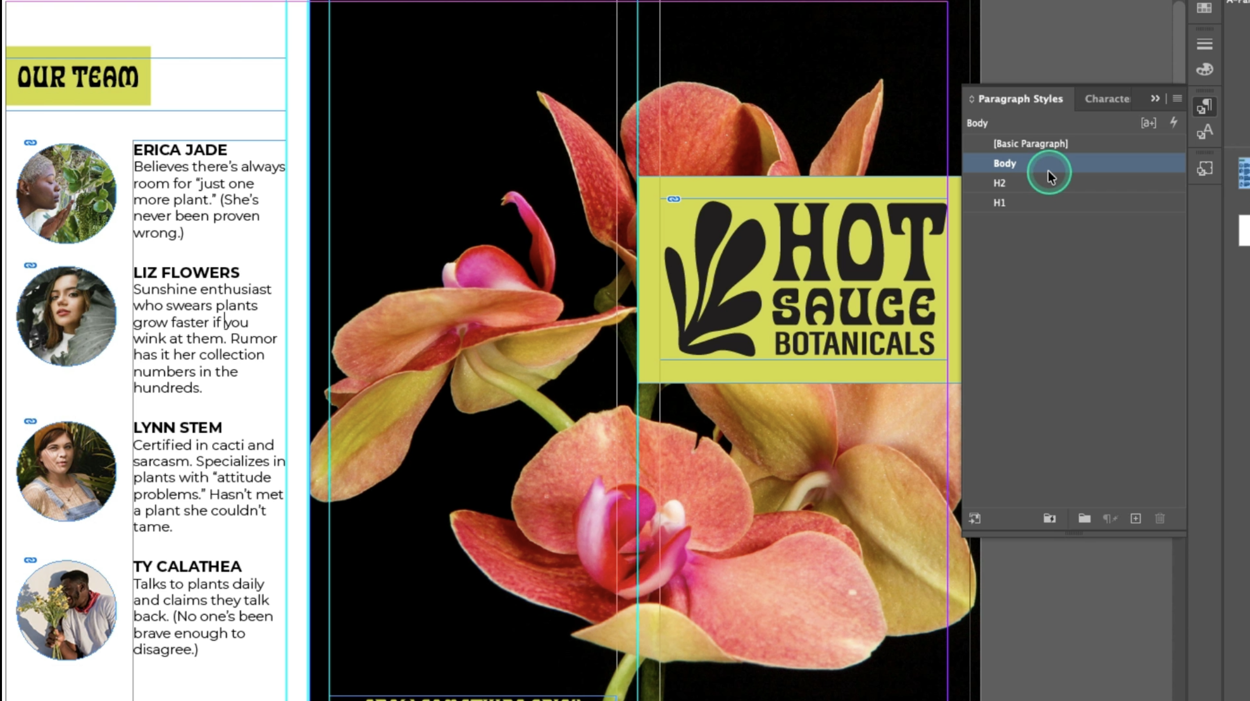Adobe InDesign CC - Essentials 2.0 preview
