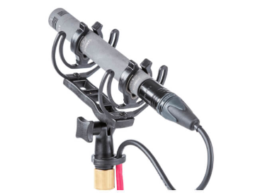 Shock mount